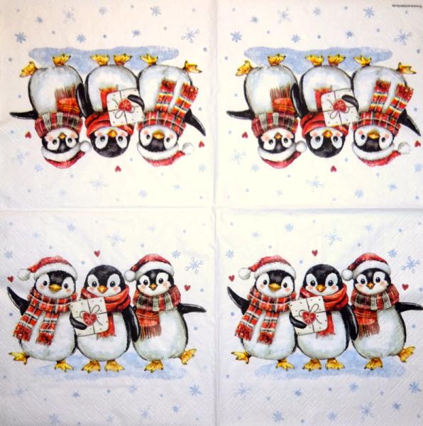 PIN-074 Pinguin - 3-lagig - Ambiente